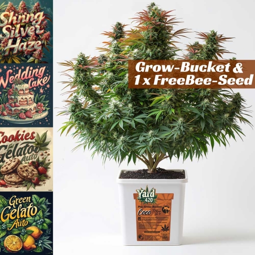 Grow Bucket Coco Mix